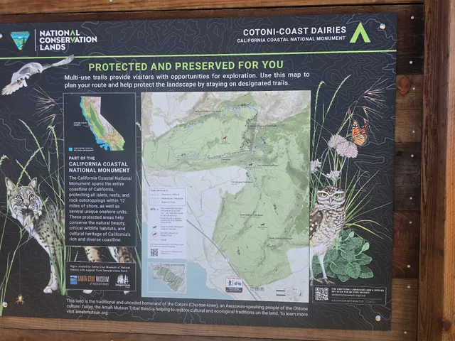 Cotoni-Coast Dairies