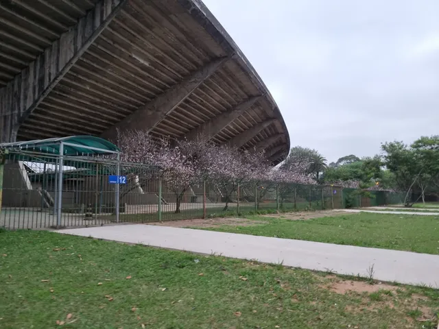 Estádio Armando de Salles Oliveira