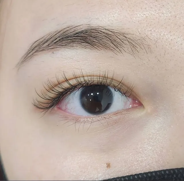 Lash Maker 台北市東區日式美睫 舒適接睫毛