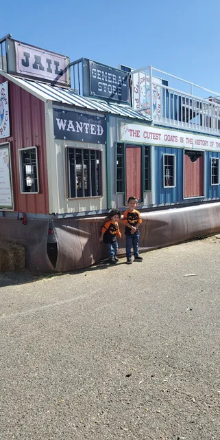 Galloping Goat Pumpkin Patch