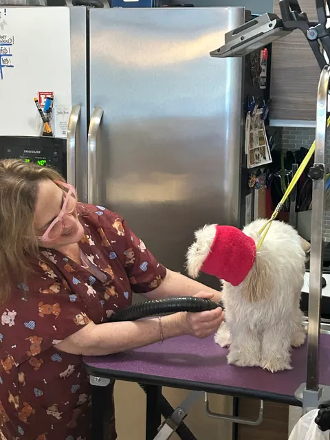 Serenity Grooming (House-call)