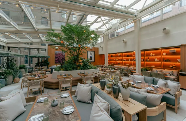 Reflections : The Garden Terrace