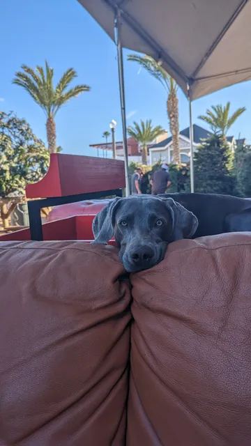 Blake's Christmas Tree Lot