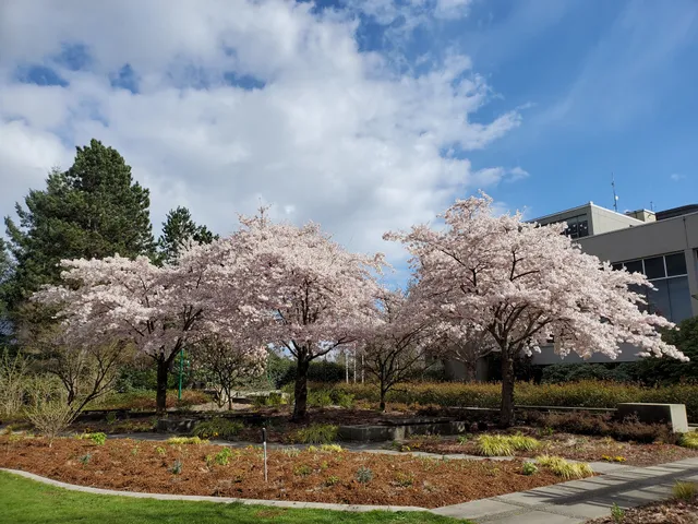 Burnaby City Hall