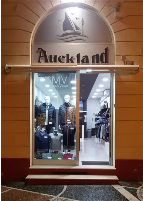 Auckland di Ortis Antonio