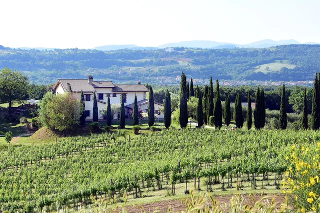 Agriturismo Il Collicello