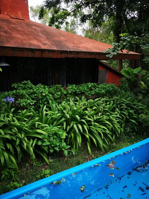 Casa de campo, surf,pesca y golf