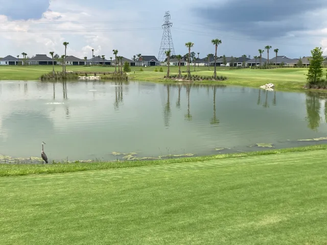 Mickylee Pitch & Putt