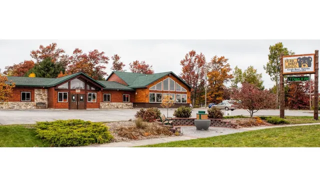 Dead Bear Brewing Co.