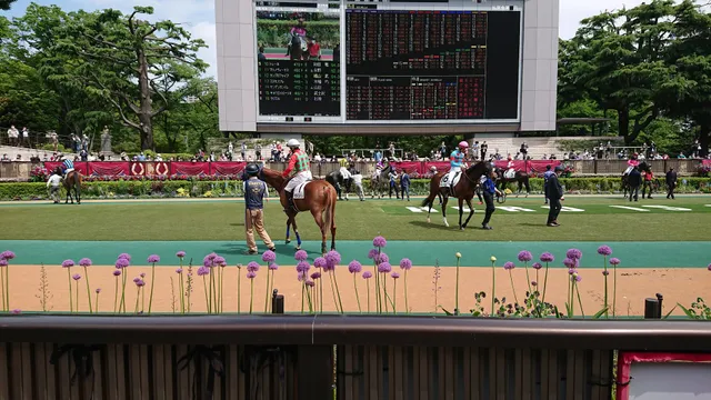 Paddock in Tokyo racecourse