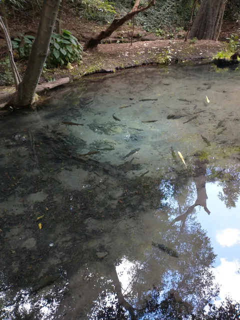 Manantiales de Chautla