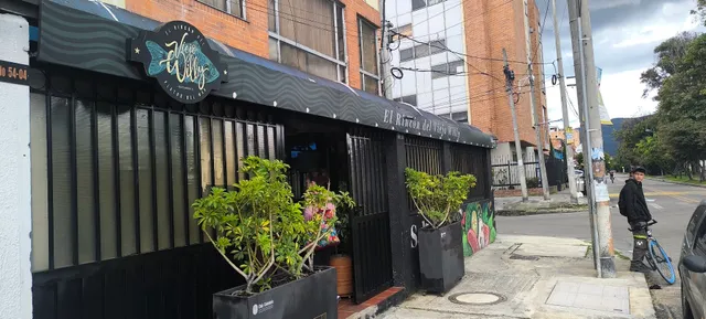 Rincon del Viejo Willy