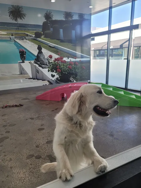 Petrock Hotel and Spa | Encino