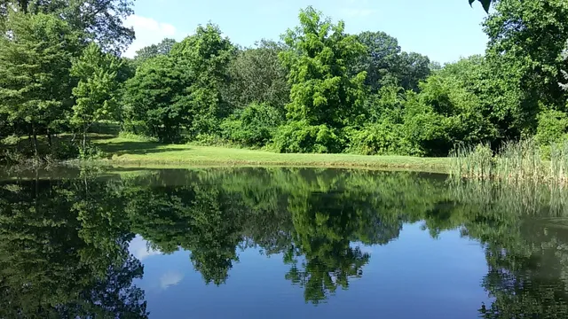 East County Reserve / Park Turf Field