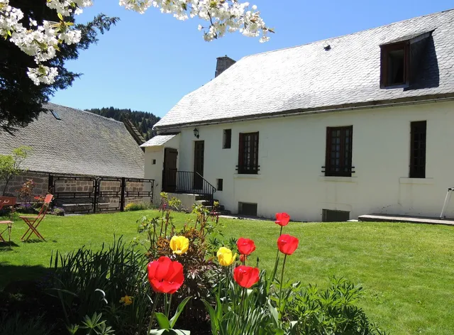Hôtel restaurant Le Plomb du Cantal