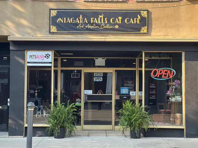 Niagara Falls Cat Cafe