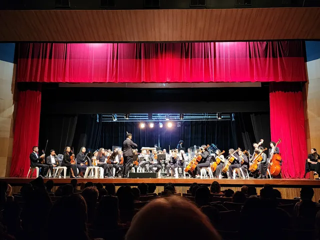 Cerrado Theater - Zulmira Canavarros