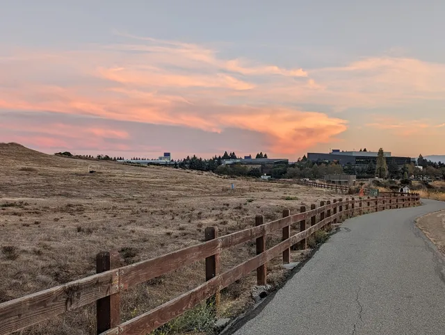Vista Slope At Shoreline Park