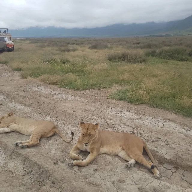 Full Package Adventures - Best Safari Company in Tanzania