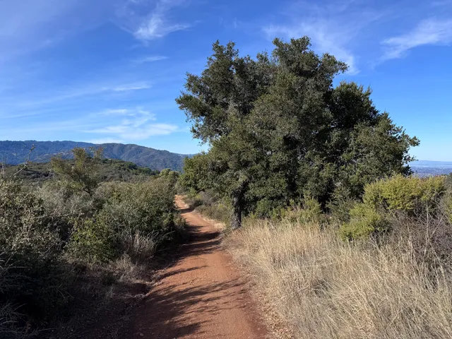 Priest Rock Trail trailhead, Los Gatos CA
