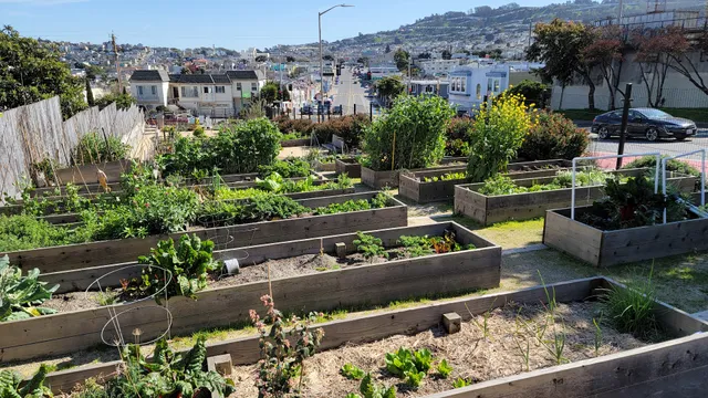 Geneva Community Garden