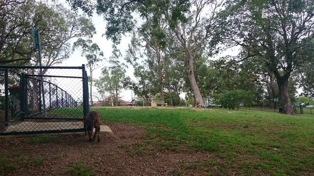 Dutton Park Dog Off Leash Area