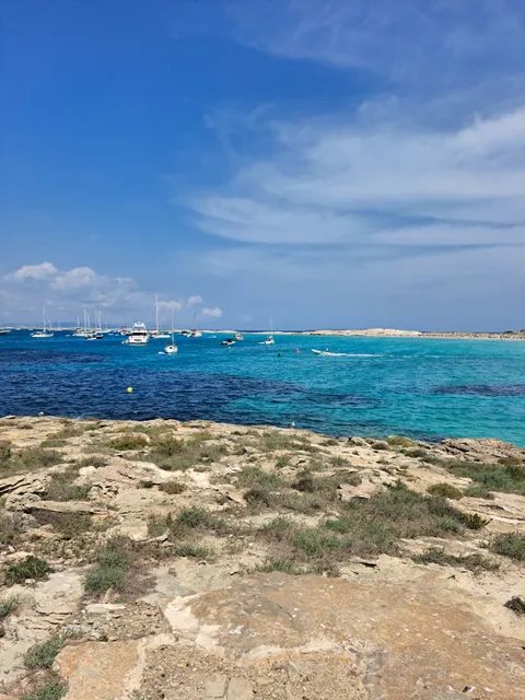 Platja de Ses Illetes