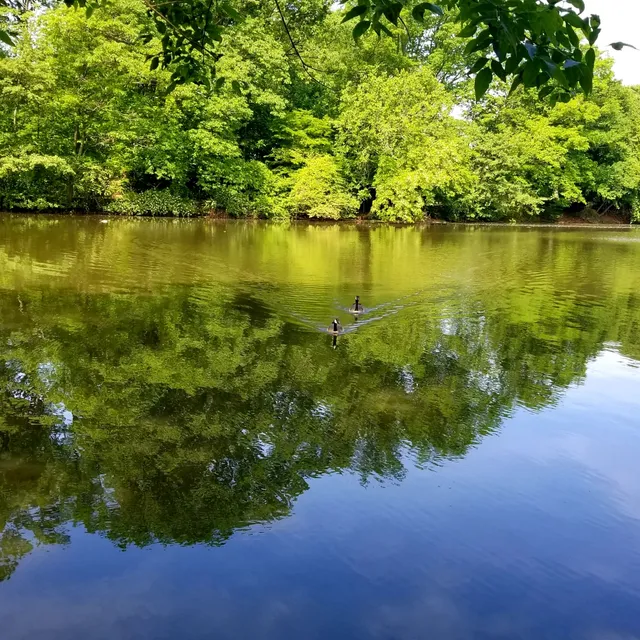 Staten Island Zoo Parking Lot