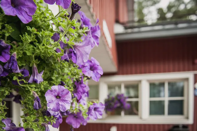 Youth Center Piispala