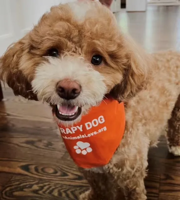 People Animals Love (PAL)