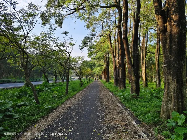沿山公路旁步道