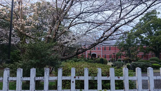 Kumamoto University