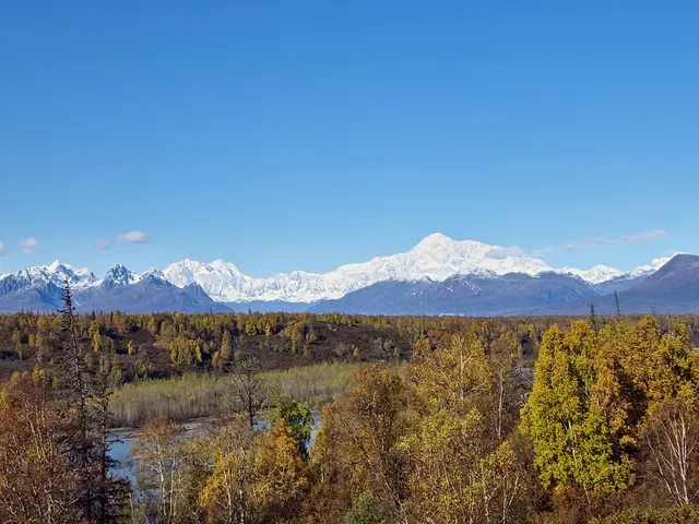 Denali Viewpoint South