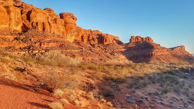 Red Cliffs Desert Reserve Visitor Center & Office