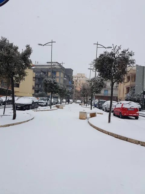 Proxi Market - R.A.F. S.A.S. di Caiffa Antonio & C.