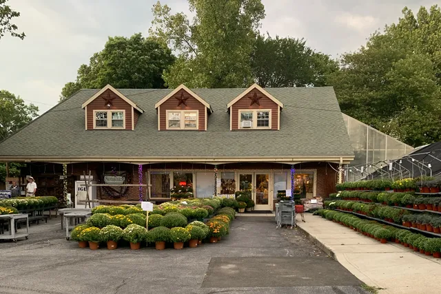 Springdale Florist & Greenhouses