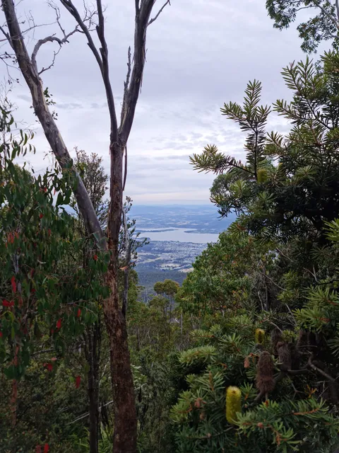 The Springs Wellington Park