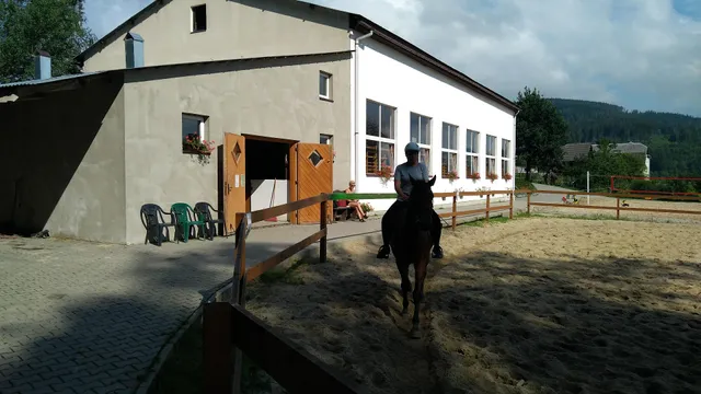 Holiday Resort "Forest"