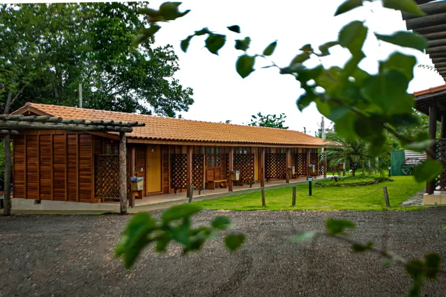 Camping & Leisure Alligator