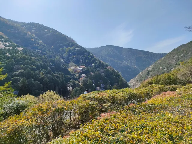 Okochi Sanso Gorge Observation Deck