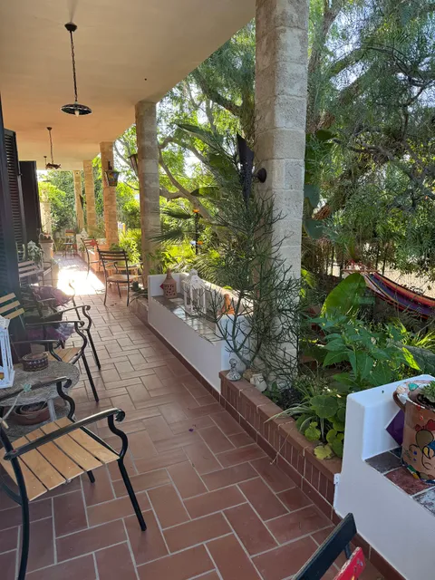 Alchimia Tra Suoni e Colori