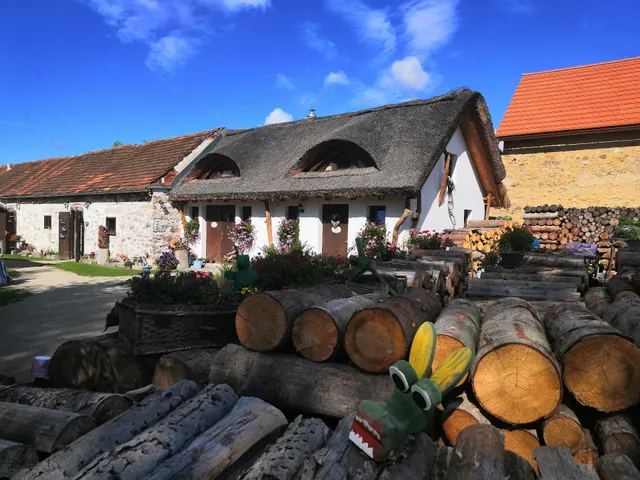 Penzion U Dřevěného ptáka