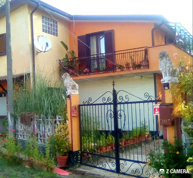 The Quiet Green House