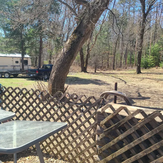 Tommy's Roadhouse Saloon