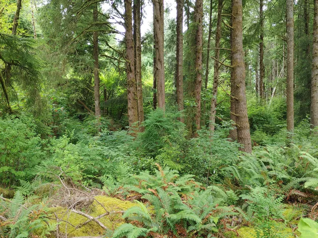 Spyglass Ridge Trailhead