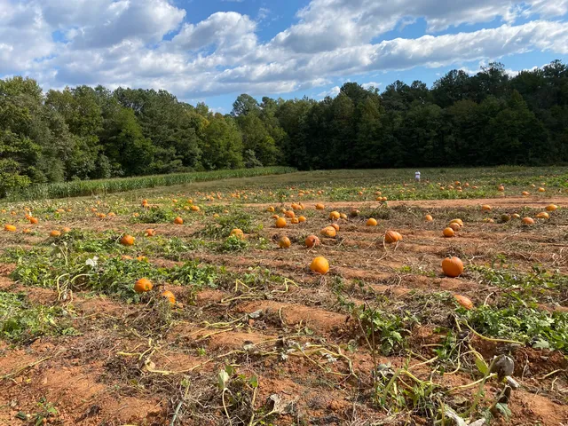 Ashland Berry Farm Inc
