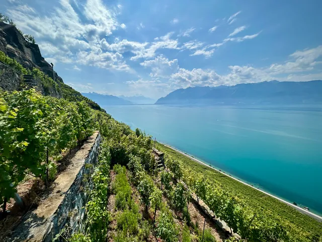 Forel (Lavaux)