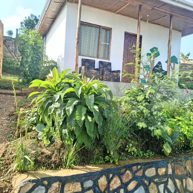 Ruhija Gorilla Guest House