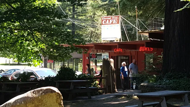 The Eternal Tree House Cafe