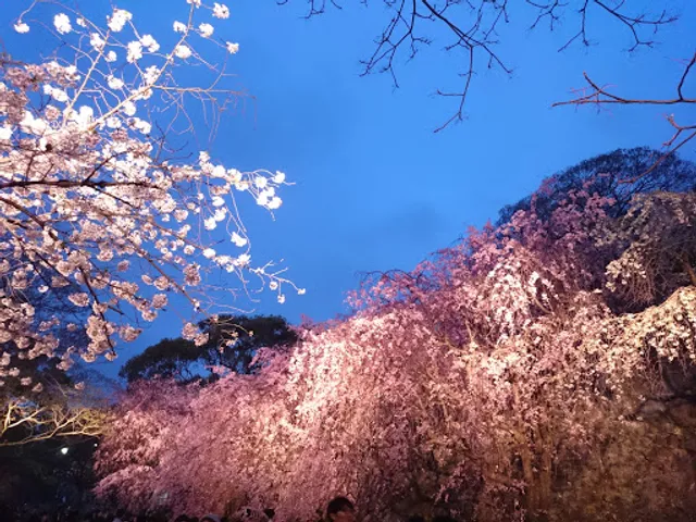 Remains of the Uzumi-mon Gate